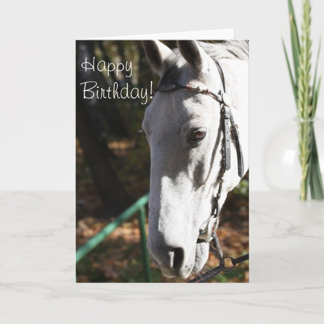 Grattis på födelsedagen White Horse Greeting Card Kort (Framsida)