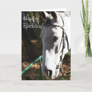 Grattis på födelsedagen White Horse Greeting Card Kort