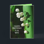 grattis på födelsedagen Wife Lily i Valley Kort<br><div class="desc">Lily från dalen är en favoritblomma för att fira födelsedagar,  särskilt i vår. Lily of the Valley är månatlig blomma för maj månad.  Du kan anpassa och ändra texten och ladda upp egna foton.</div>