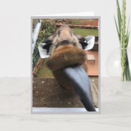 Grattis på födelsedagen Wildlife Kiss Helgkort