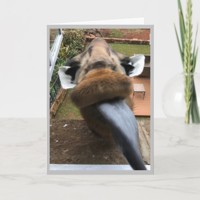 Grattis på födelsedagen Wildlife Kiss Helgkort (Framsida)