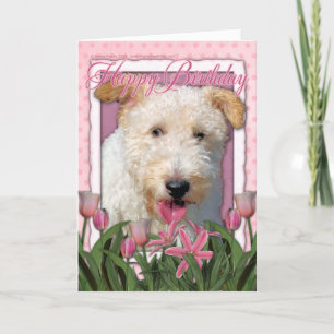 Grattis på födelsedagen - Wire Fox Terrier - Haile Kort