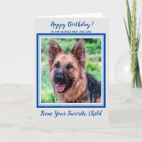 Grattis på födelsedagen - Worlds Best Hund Pappa -
