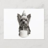 Grattis på födelsedagen Yorkie