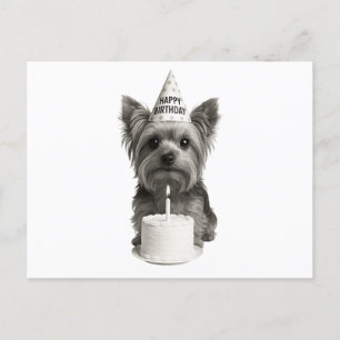 Grattis på födelsedagen Yorkie Helg Vykort