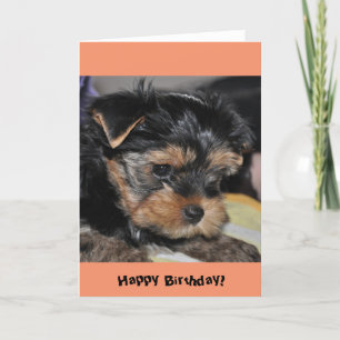 Grattis på födelsedagen! Yorkshire Terrier Greetin Kort