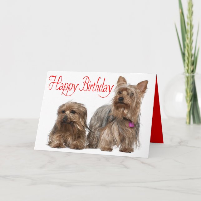 Grattis på födelsedagen Yorkshire Terrier Puppy Hu Kort (Framsida)