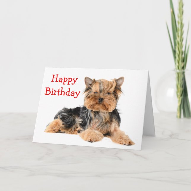 Grattis på födelsedagen Yorkshire Terrier Puppy Hu Kort (Framsida)