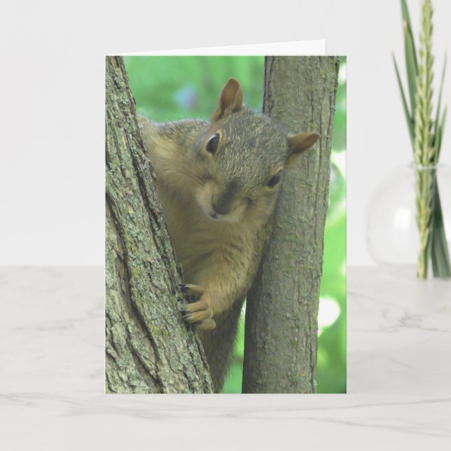Grattis på födelsedagen You Nöt Lung Squirrel Card Kort (Framsida)