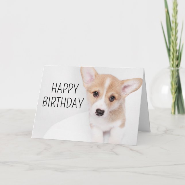 Grattis på födelsedagen | Young Corgi Puppy Kort (Framsida)
