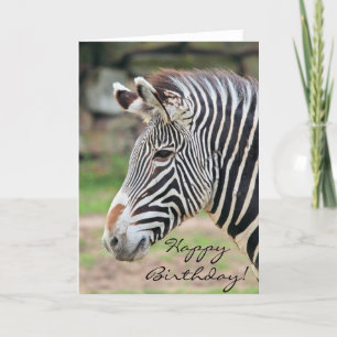 Grattis på födelsedagen Zebra-djur Kort
