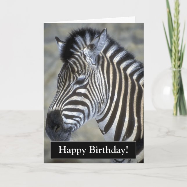 Grattis på födelsedagen Zebra-kort Kort (Framsida)