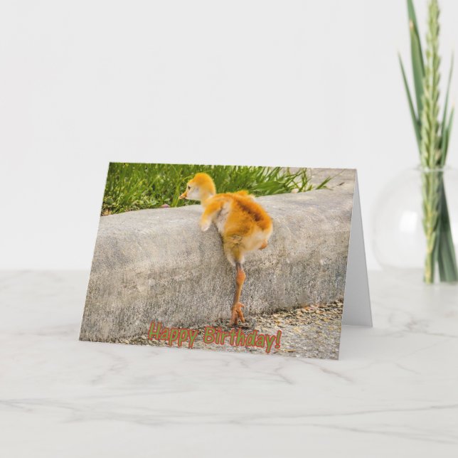 GRATTIS PÅ FÖDELSEDAGENbabyfågel Kort (Framsida)