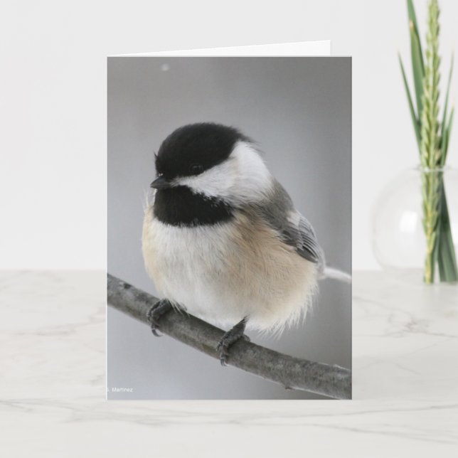 Grattis på födelsedagenChicky bajs! Kort (Framsida)