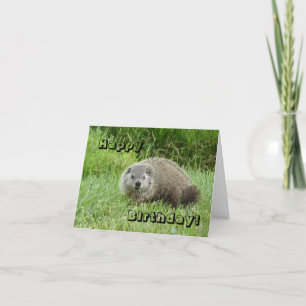 Grattis på födelsedagengroundhog kort