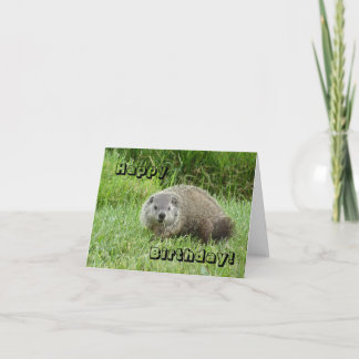 Grattis på födelsedagengroundhog kort