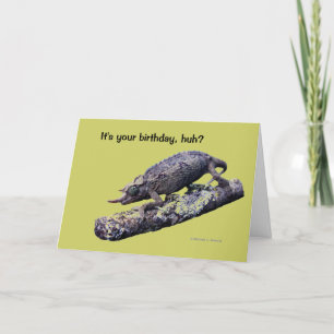 Grattis på födelsedagenhälsningkort (i grönt) kort