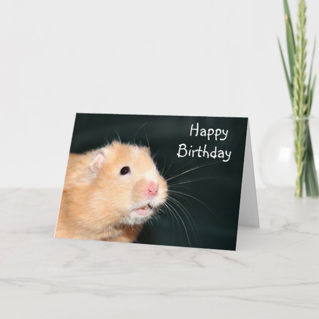 Grattis på födelsedagenhamster kort (Framsida)