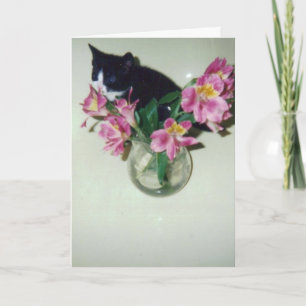 Grattis på födelsedagenkatt med blommor i vas kort