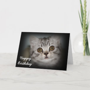 Grattis på födelsedagenkattungekort kort