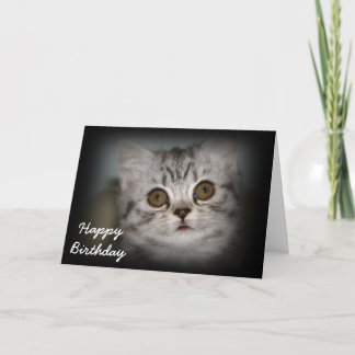 Grattis på födelsedagenkattungekort kort