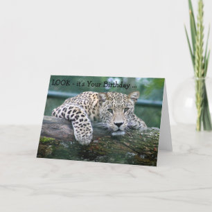 Grattis på födelsedagenkort: Leopard som tittar Kort