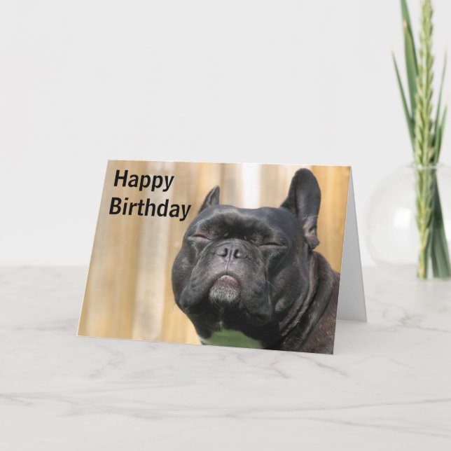 Grattis på födelsedagenroligt - Paris Merille Kort (Framsida)