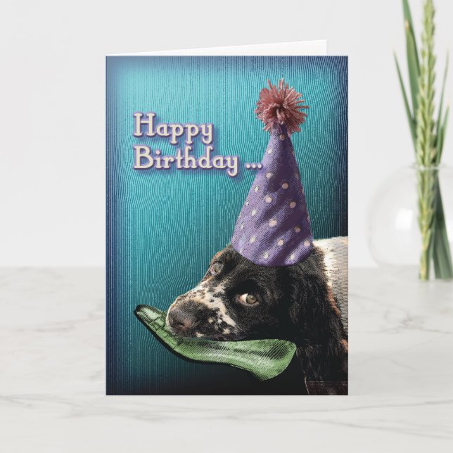 Grattis på födelsedagentuggningen skor…., kort (Framsida)