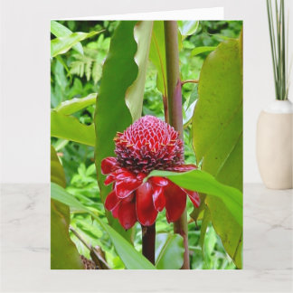 Grattis på födelsedagenvykort från Hawaii Kort