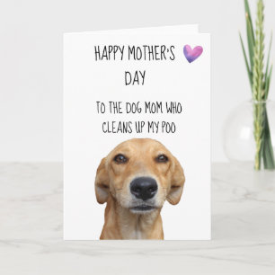 Grattis på mors dag från hunden Roligt Kort