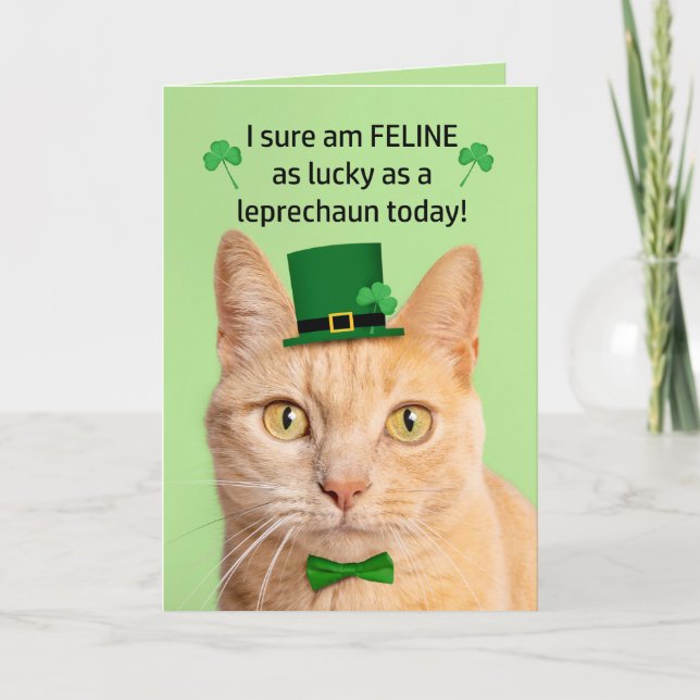 Grattis på St Patricks Day Vän Söt Katt Tomte Helgkort (Framsida)