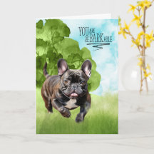 Grattis reBARKable Brindle Fransk Bulldogg