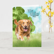 Grattis reBARKable Golden Retriever Hund