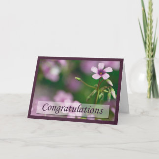 Grattis - rosa hälsningkort för Wood Sorrel Kort