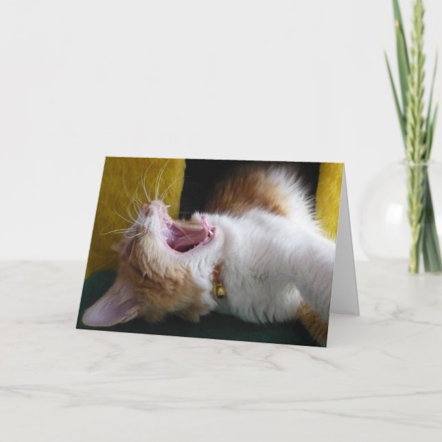 Grattis (ruttna) födelsedag - Gäspande Kitty Kort (Framsida)