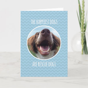 Grattis som adopterar räddinghunden, blåttsparre kort