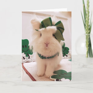 Grattis St. Patrick's Day! Kort