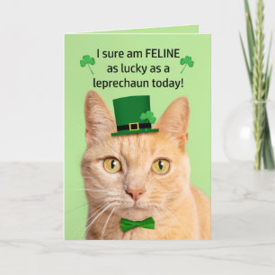 Grattis St Patricks Day Vän Söt Katt Tomte Helgkort