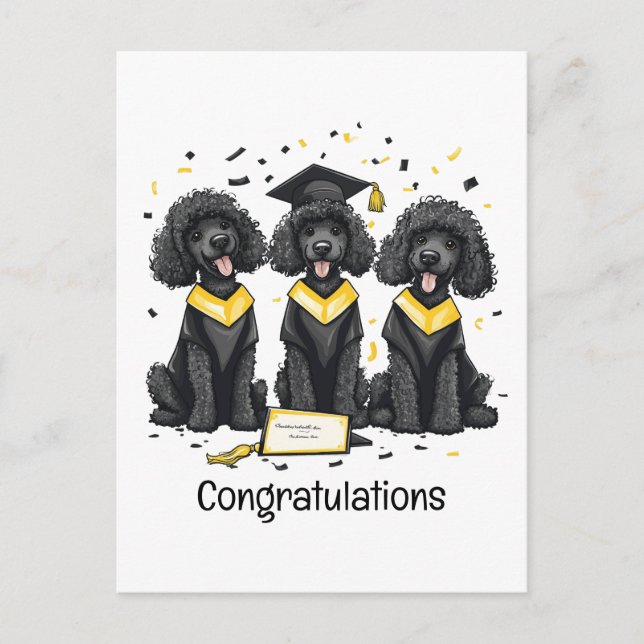 Grattis Studenten Standard Pudel Hundar Vykort (Framsida)