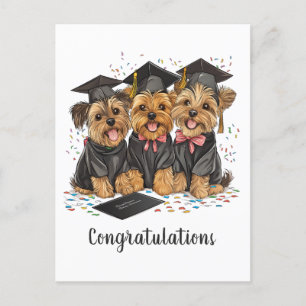 Grattis Studenten Yorkshire Terrier Hundar Helg Vykort