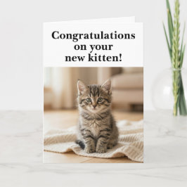 Grattis till den nya kattungen Söt och sentimental Kort