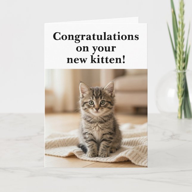Grattis till den nya kattungen Söt och sentimental Kort (Framsida)
