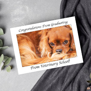 Grattis till examen från veterinärskola kort