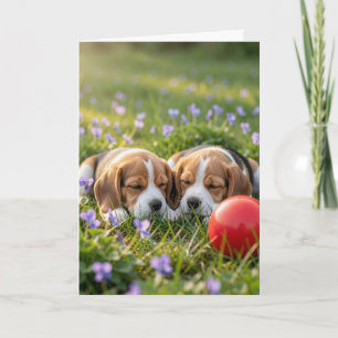 Grattis till två nya valpar Välkommen Beagles Kort