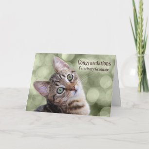 Grattis Veterinary Student Tabby Kitten Kort