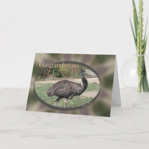 Grattisar anpassa kort