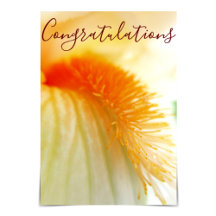 "Grattisar" Bearded Iris Card