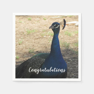 Grattisar Blue Proud Peacock Photo Bird Pappersservett