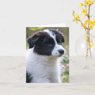 Grattisar Cute Puppy Kort