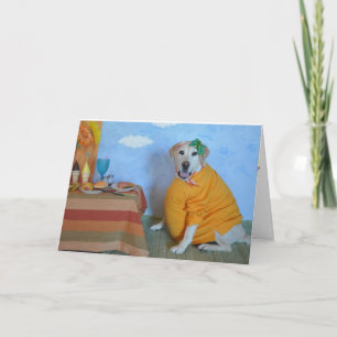 Grattisar för hälsningskort för gravid kort